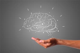 cerebro