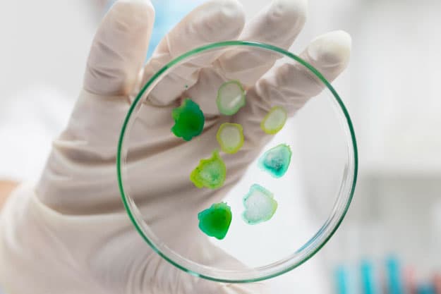 ¿Y si los antibióticos dejaran de funcionar? La amenaza real de la resistencia antimicrobiana