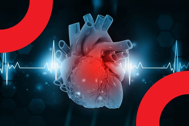 banner blog shaio: Sarcoma cardíaco, un tumor en el corazón 
