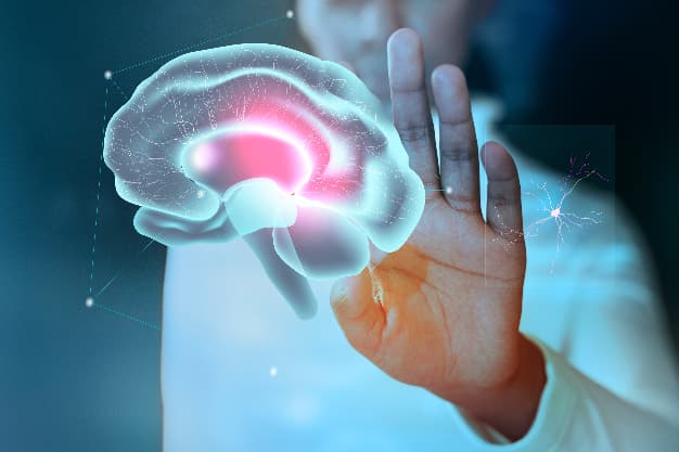 cerebro-clinica-shaio