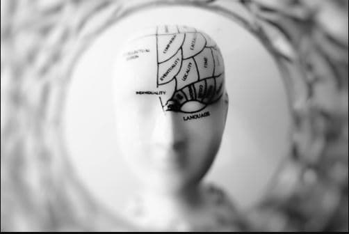 cuidado-de-cerebro-ilustracion