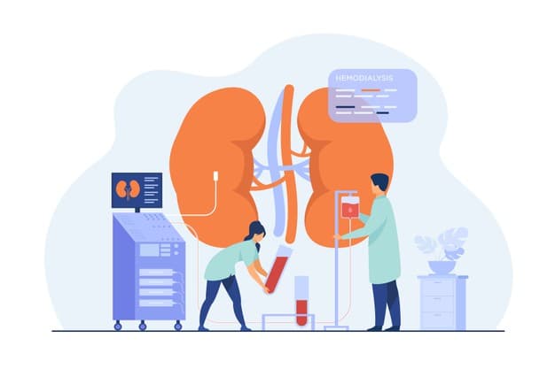 enfermedad-renal-shaio