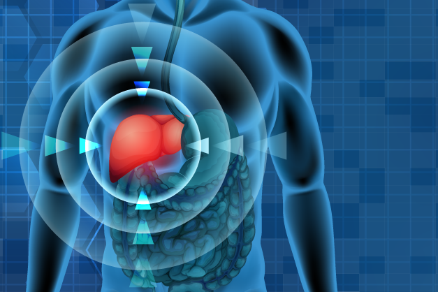 fotografia de hepatitis