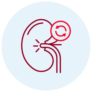 Programa de Trasplante Renal