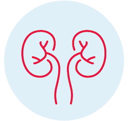 Recomendaciones para paciente de trasplante renal