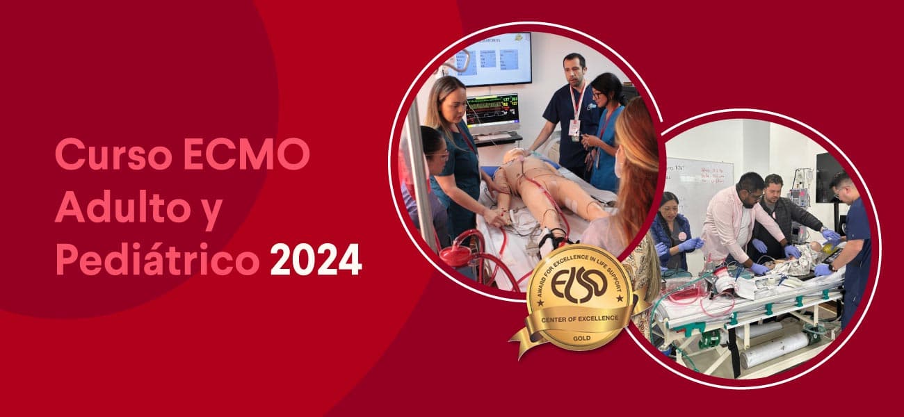 baner-curso-ecmo