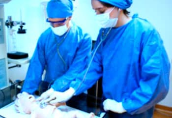 taller-ecmo-pediatrico