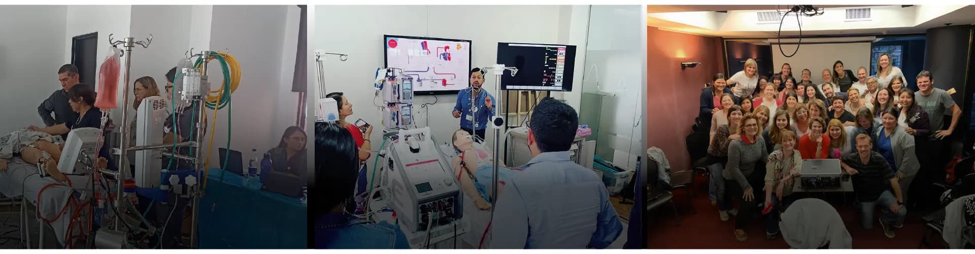 Curso de Entrenamiento Teórico-Práctico en ECMO