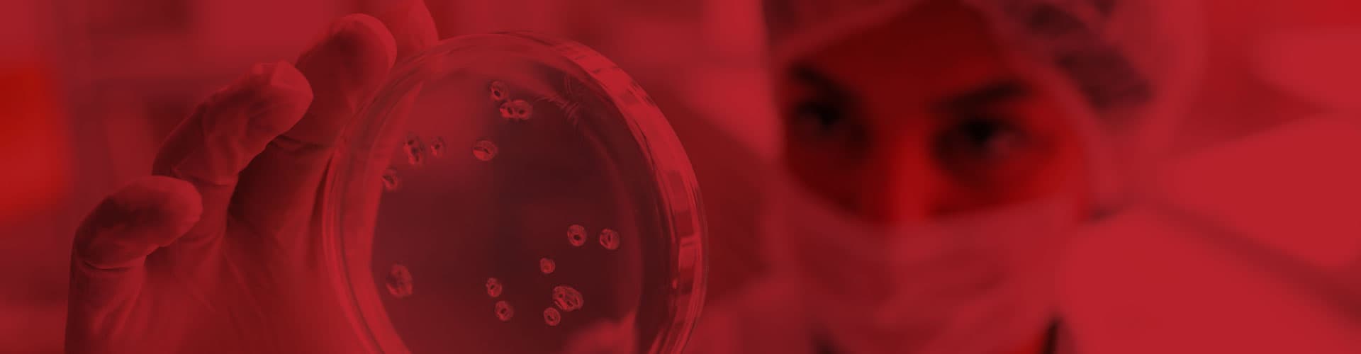 ¿Y si los antibióticos dejaran de funcionar? La amenaza real de la resistencia antimicrobiana