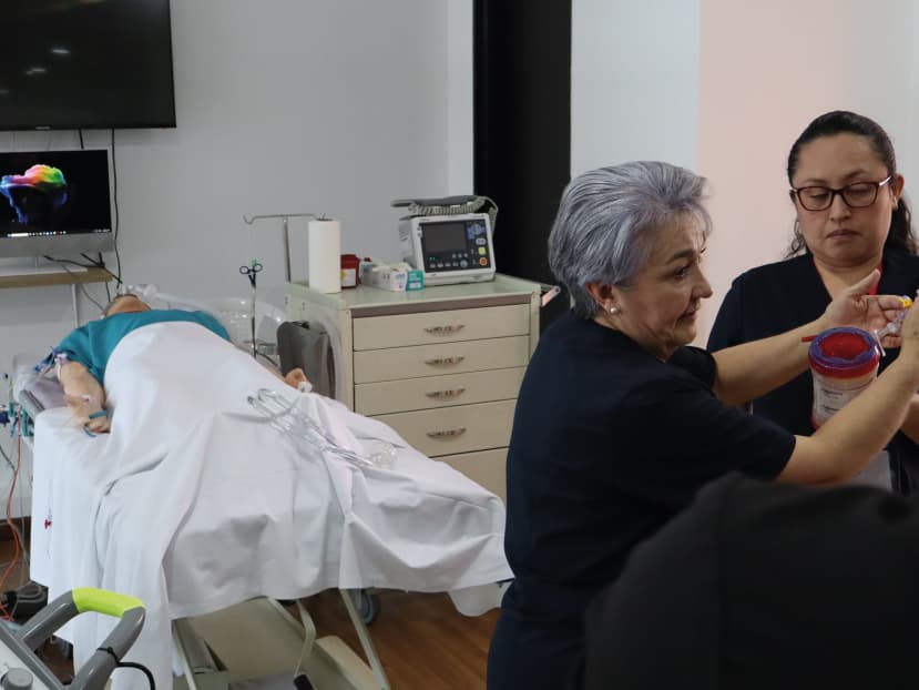 Galería de fotos Galería de fotos