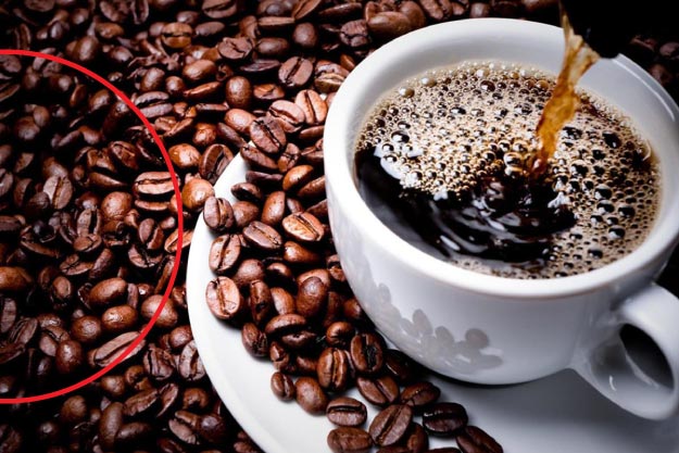 blog vital: El café y los beneficios en la salud 