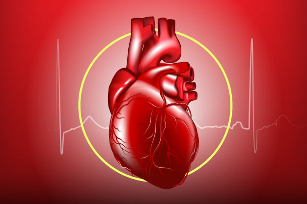 blog vital Nodo sinusal: donde nace el impulso eléctrico del corazón  