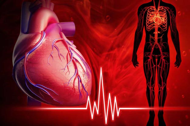 blog shaio Soplo cardíaco: cuando hay sonidos anormales en los latidos 
