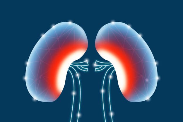 imagen dos riñones imagen dos riñones