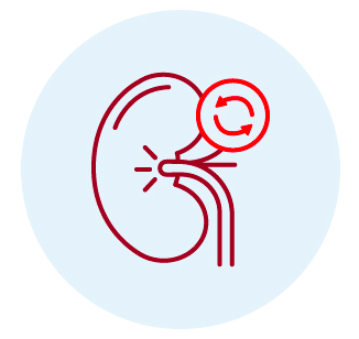 Programa de Trasplante Renal