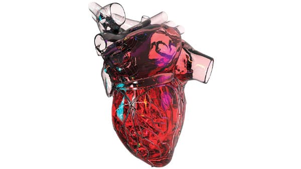 imagen-corazon imagen-corazon